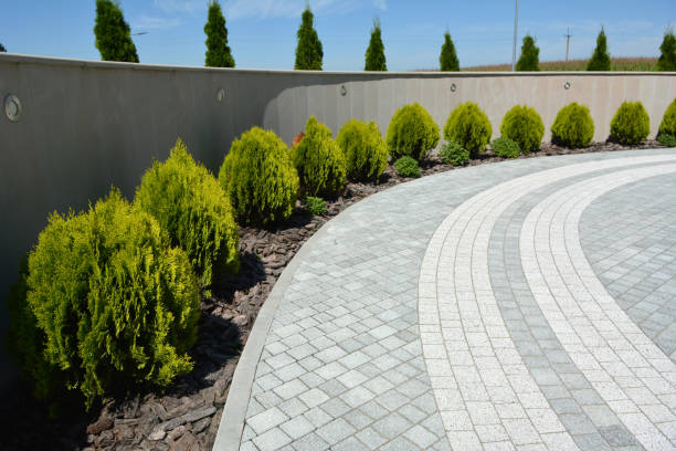 Best Driveway Paver Repair  in Galveston, TX